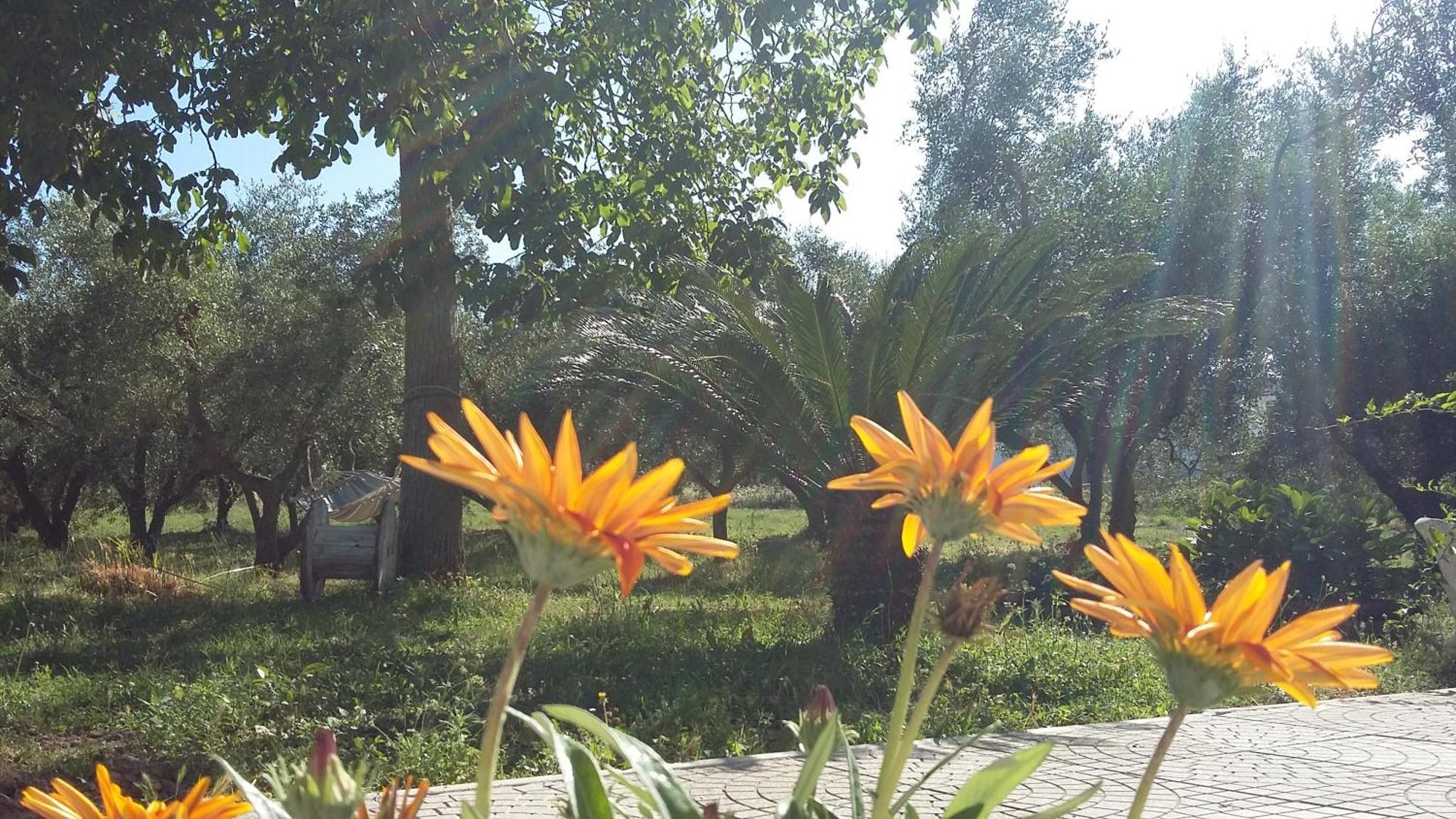 Agriturismo Santa Maria Marta Exterior foto